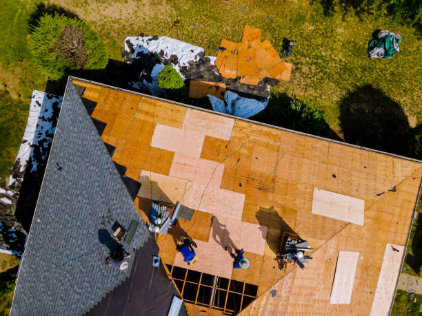 Best Storm Damage Roof Repair  in Hutchinson, MN