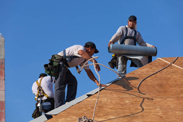 Best New Roof Installation  in Hutchinson, MN