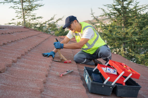 Professional Roofing Contractor in Hutchinson, MN