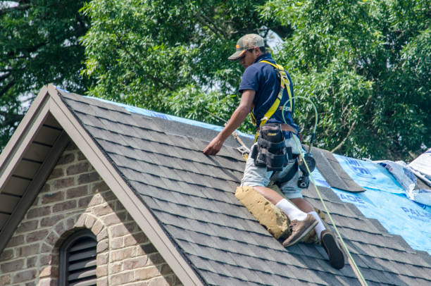 Best Roof Waterproofing Services  in Hutchinson, MN
